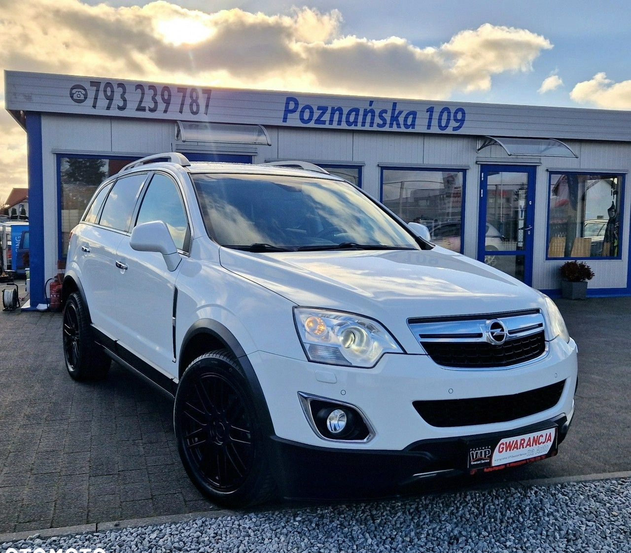 Opel Antara cena 29999 przebieg: 225000, rok produkcji 2011 z Krynica Morska małe 742